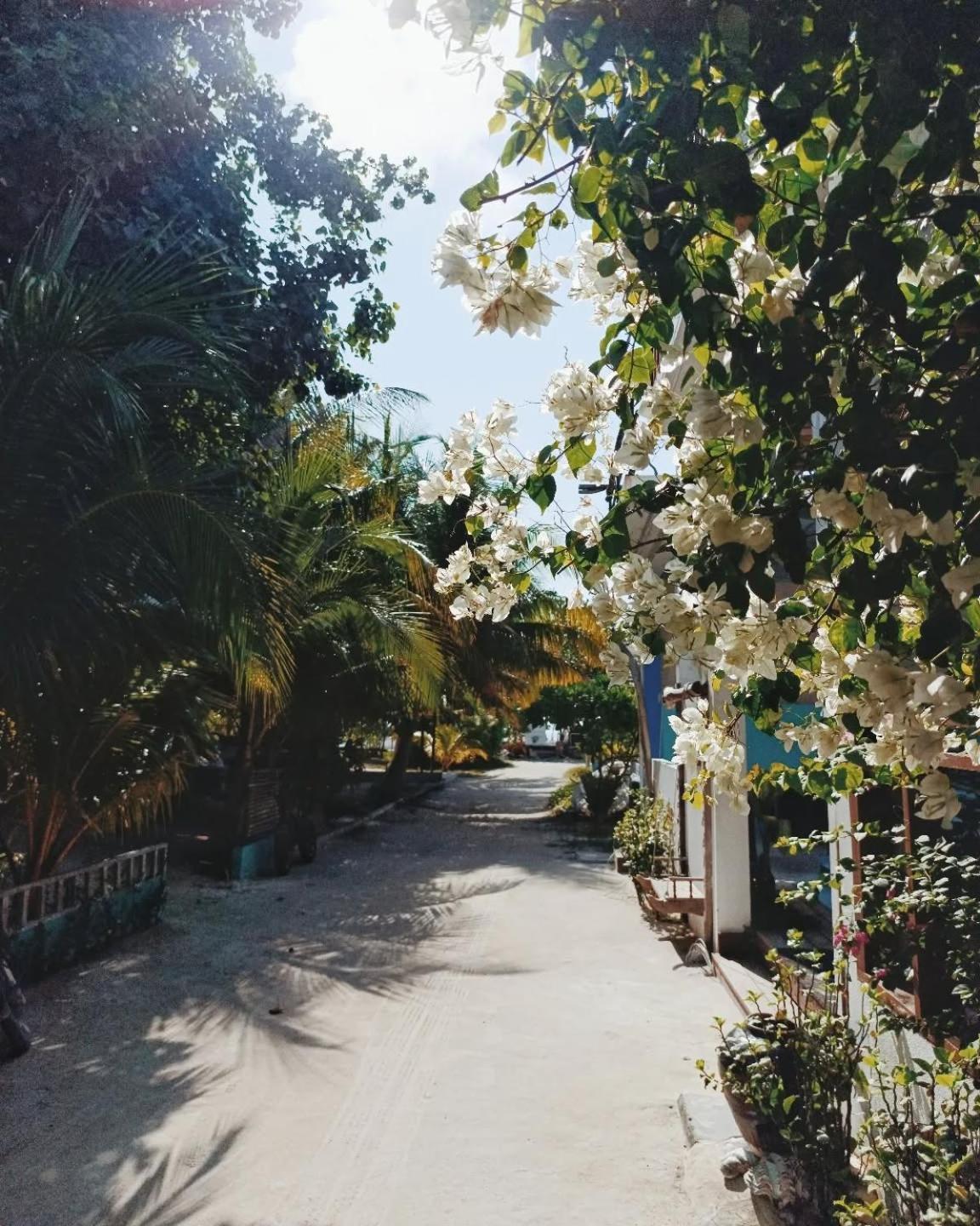 Kudhi Boli Beach House Thulusdhoo Exterior photo
