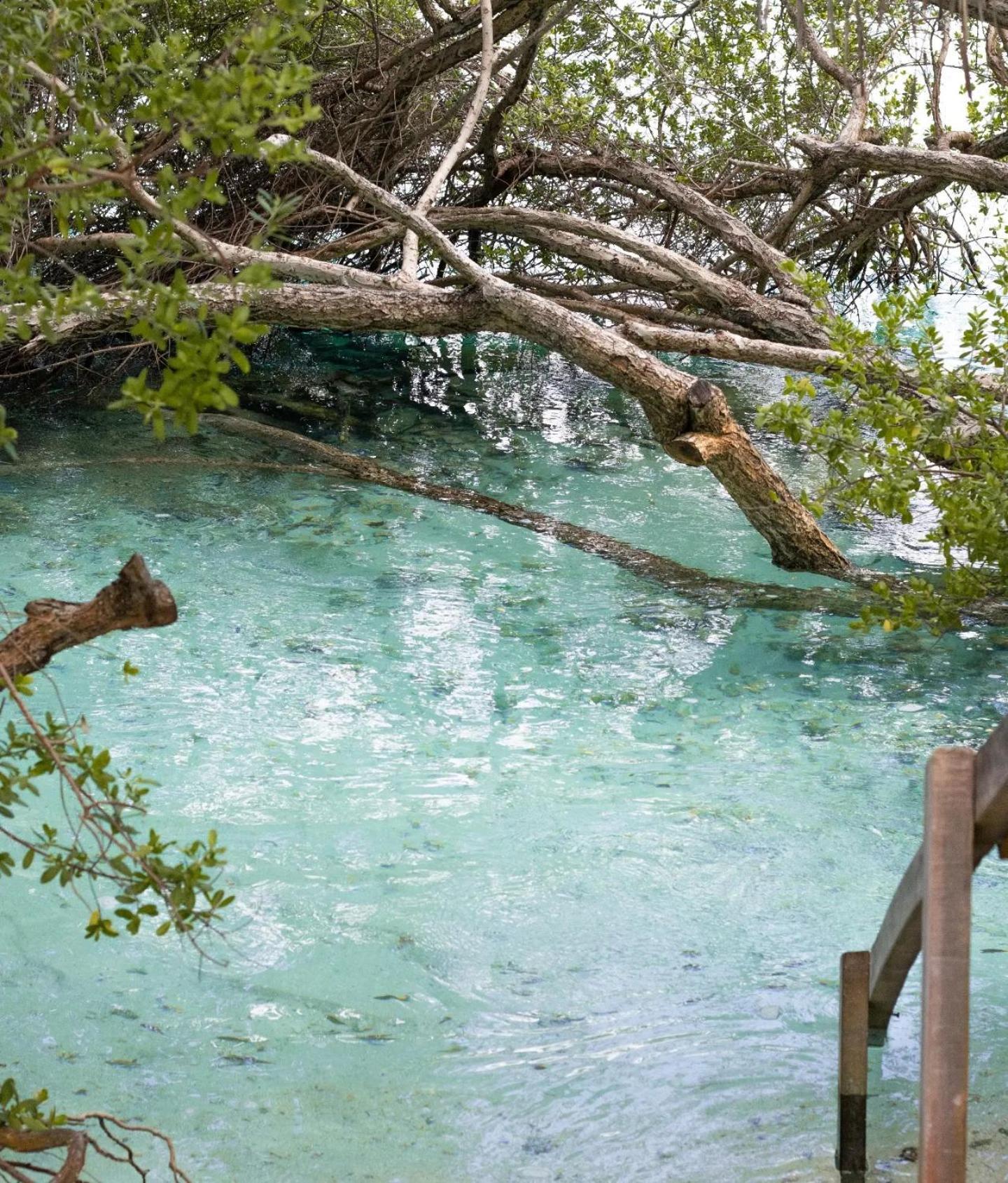 Kudhi Boli Beach House Thulusdhoo Exterior photo